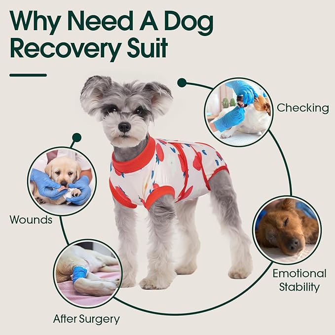 Kuoser Dog Recovery Suit After Surgery, Dog Surgery Suit Female Spay, Male Neuter, Anti-Licking Pet Onesie, Surgical Recovery Bodysuit for Abdominal Wounds,Skin Disease, E-Collar Cone Alternative, 2XL