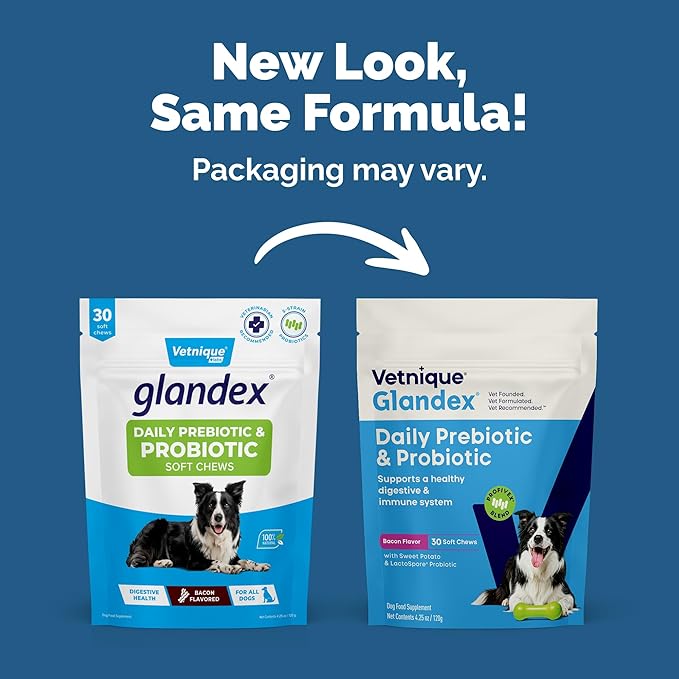 Vetnique Glandex Daily Probiotics for Dogs with Prebiotics to Support Gut Health with Fiber and Digestive Enzymes, Dog Probiotic Chews or Powders (30ct Chews, Bacon Chews)