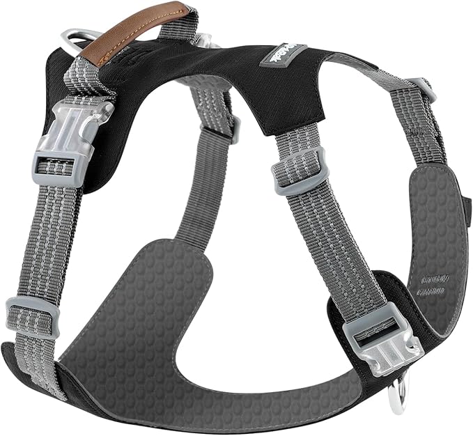 No Pull Dog Harness – Adjustable Reflective Nylon Vest for Small Medium Large Dogs, Escape Proof Training Harness with Leather Control Handle, Lightweight Aluminum Hardware (Black, XL)