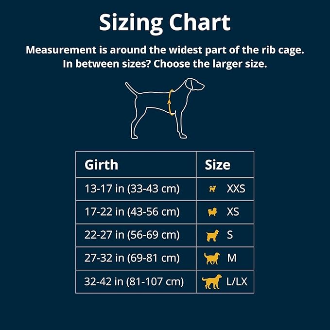 Ruffwear, Flagline Dog Harness, Lightweight and Reflective, No Pull Dog Lift Harness for Hiking, Running and Everyday Use, Basalt Gray, XX-Small