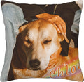 Funnylife Personalized Pet Memorial Throw Pillow with Photo Pet Memorial Gifts for Dogs Cats Loss of Dog Sympathy Gift Dog Bereavement Remembrance Picture Pillow