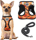 BEAUTYZOO Step in Dog Harness and Leash Set,Floral Pattern Reflective Dog Harness No Pull No Choke Puppy Harness for Small Dogs Cats,Soft Padded Mesh Vest Harnesses for Girl and Boy Pets,Halloween XS