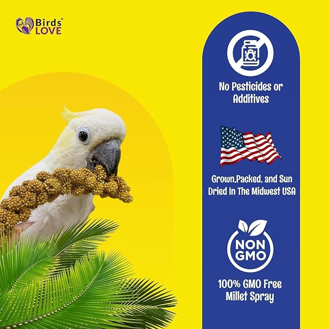 Birds LOVE Millet Tips & Tails for Birds - Parakeets, Cockatiels, Lovebirds, Budgies, Canaries, Cockatoos - Natural & Healthy Millet for Bird, Parakeet Food & Treats for All Parrots, 1lb (Pack of 25)