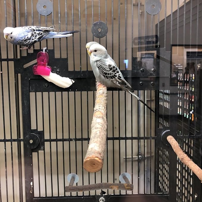 POPETPOP Parrot Perch Stand with U Shape Food Bowl Holder Wooden Bird Cage Accessory Durable Bird Feeding Station for Cage Birds and Parrots
