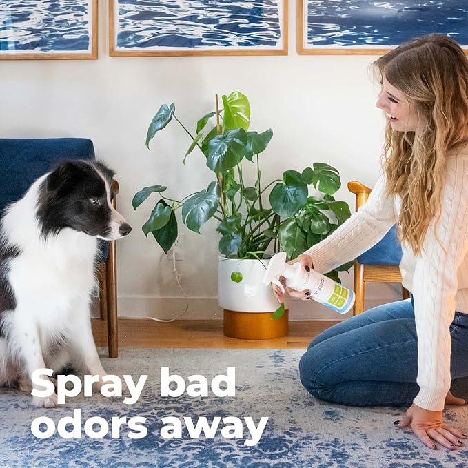Oxyfresh Extra Strength Dog and Cat Odor Eliminator for Home Spray - Finally Say Goodbye to Stinky Odors - Gently Neutralizes at the Source - Works on Contact - Upholstery & Auto - Safe