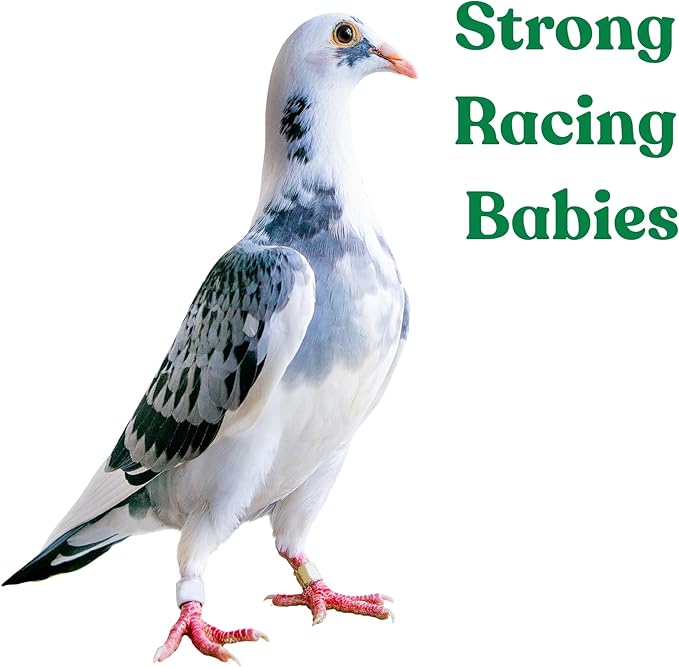 Treasure Pills for Pigeons – Fertility Support, Growth Booster & Immune System Enhancer – Natural Supplement for Racing, Breeding & Young Pigeons – Vitamins for Health & Performance