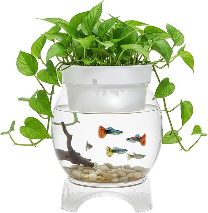 Aquaponic Fish Tank, 3-in-1 Clear Plastic Fish Bowl with Stand & Planter Healthy 1.5 Gallon Fishtank for Aquarium Plants, M Aquaponic Tank, Hydroponic, Small, Fishtank, F