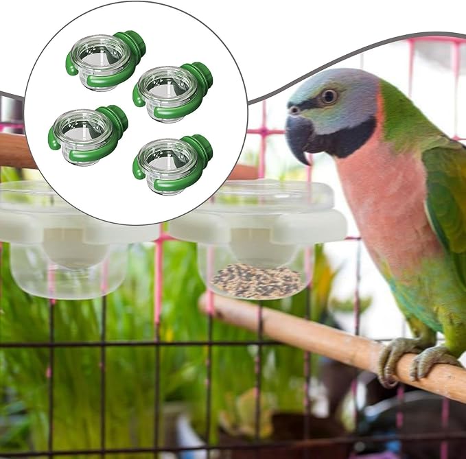 4 Pieces Bird Water Dispenser Decoration for Outside Sturdy Yard Transparent Multifunctional Professional Food Bowl Accessory, Green