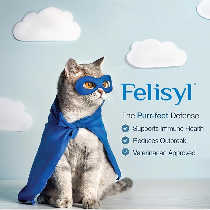 L-Lysine Gel for Cats & Kittens (5oz) – Immune System, Respiratory & Eye Health Support. Reduces Sneezing, Runny Nose & Watery Eyes. Daily Salmon-Flavor Supplement – Made in USA (6 Pack)