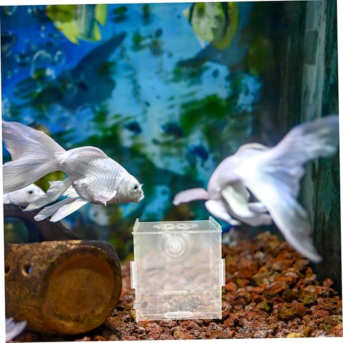Milisten Breeder Box for Fish Tank Transparent Acrylic Isolation Box Aquarium Fish Breeding Trap