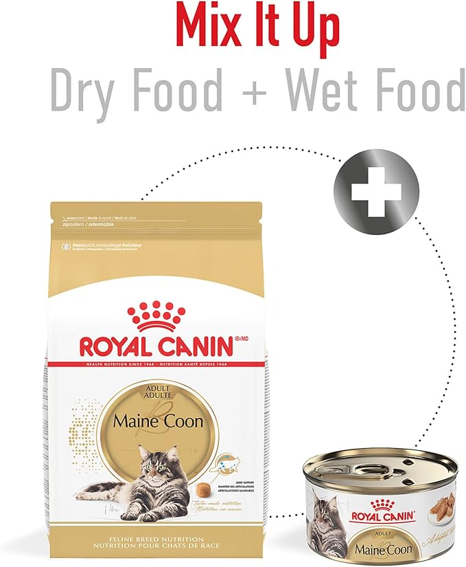 Royal Canin Feline Breed Nutrition Maine Coon Adult Dry Cat Food, 14 lb Bag