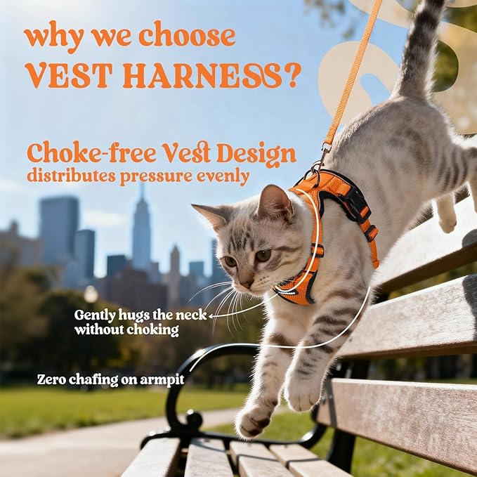 rabbitgoo Cat Harness and Leash for Walking, Escape Proof Soft Adjustable Vest Harnesses for Cats, Easy Control Breathable Reflective Strips Jacket, Orange, M