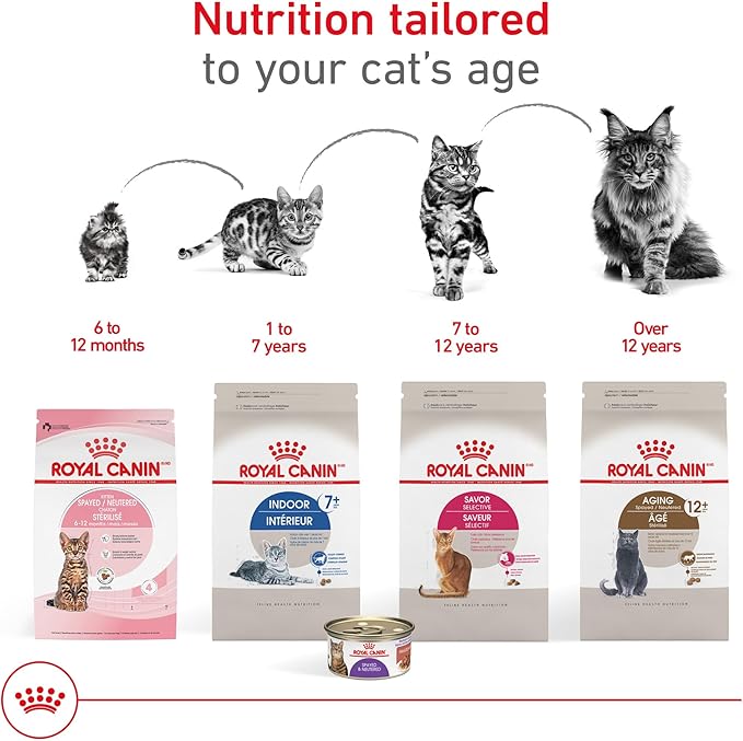 Royal Canin Feline Health Nutrition Aging Spayed/Neutered Senior Dry Cat Food, 7 lb Bag