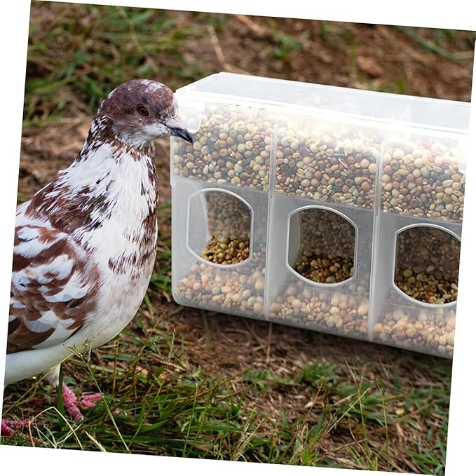 Mipcase 2pcs Bird Feeding Watering Supplies Pigeon Feeder Hanging Bird Feeder Sift Bowl Easy to Use and Install for Backyard Birding