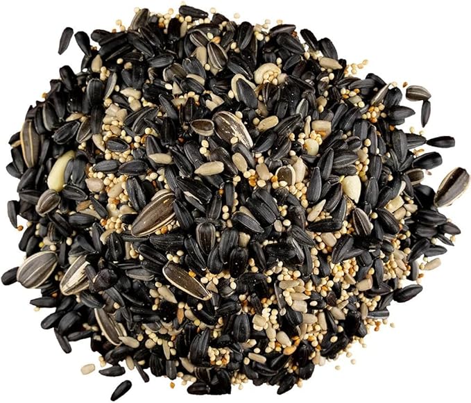 Classic Bird Seed (10 Pounds, Backyard Blend)