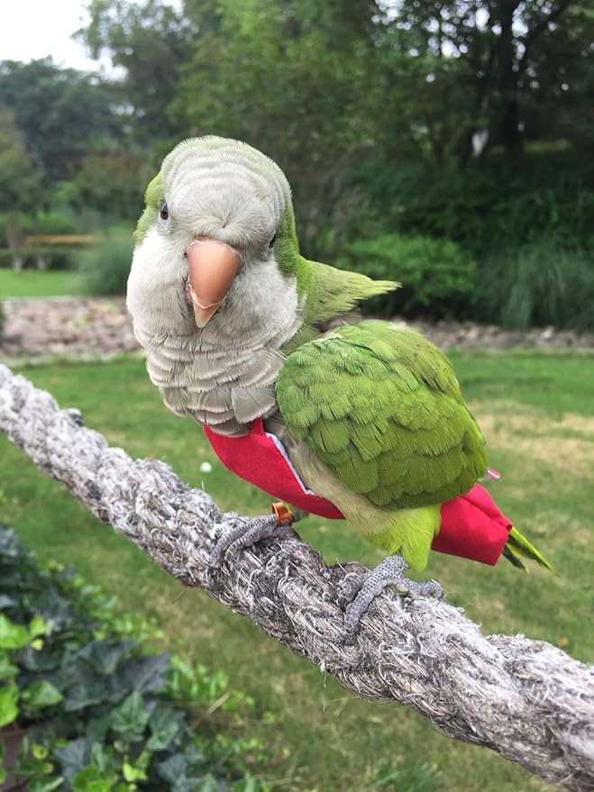 Parrot Diaper Bird Flight Suit, Bird Clothes, Waterproof Lining Pet Bird Supplies (XL, Red)