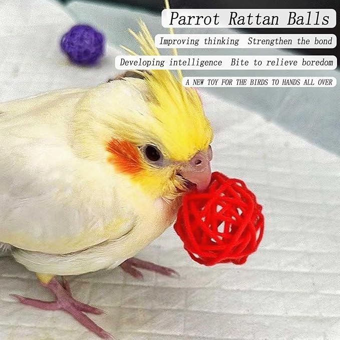 2 Pcs Stainless Steel Bird Food Water Bowls, Parrot Feeding Dish Cups with Clamp Holder Bird Ball Toys for Chinchilla, Cockatiel, Conure, Budgies, Parakeet, Lovebirds, Small Animals (Small)