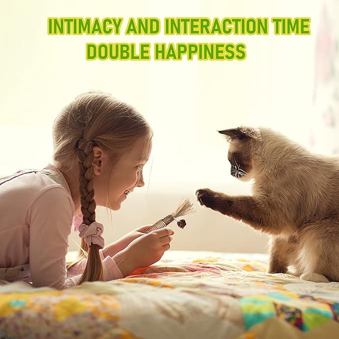 BAWAN Catnip Toys‖ Silvervine for Cats: Cute Cat & Kitten Toys for Indoor Cats Interactive‖ Cat & Kitten Teething Chew Toys for Aggressive Chewers‖ Silvervine Sticks Cat Dental Toy (1PCS)