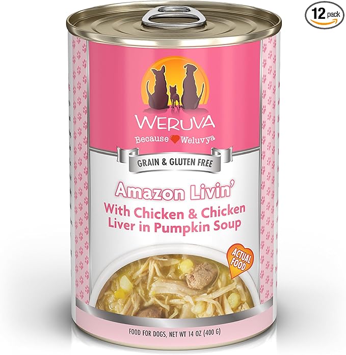 Weruva Classic Dog Food, Amazon Livin' with Chicken Breast & Chicken Liver in Pumpkin Soup, 14oz Can (Pack of 12)