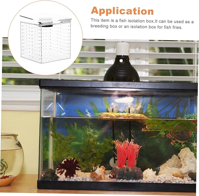 Mikikit 1pc Fish Isolation Box Acrylic Separation Case for Fish Tank and Aquarium Easy to Install Breeding Box for Fry and