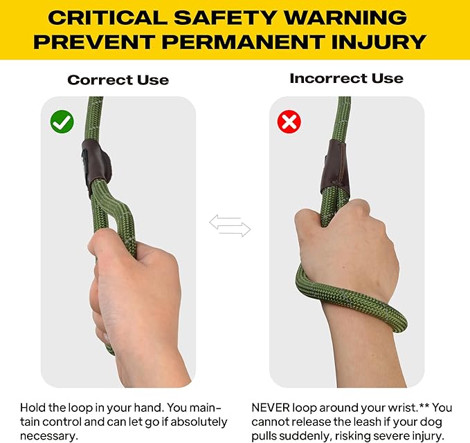 Fida Durable Slip Lead Dog Leash, 6 FT x 3/8" Heavy Duty Dog Loop Leash, Comfortable Strong Rope Slip Leash for Small Dogs and Puppies, No Pull Pet Training Leash with Highly Reflective(3/8", Green)