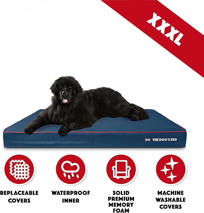 The Dog’s Bed Orthopedic Memory Foam Dog Bed Mattress, Oxford Fabric, Blue with Red Trim, XXXL, 6-Inch