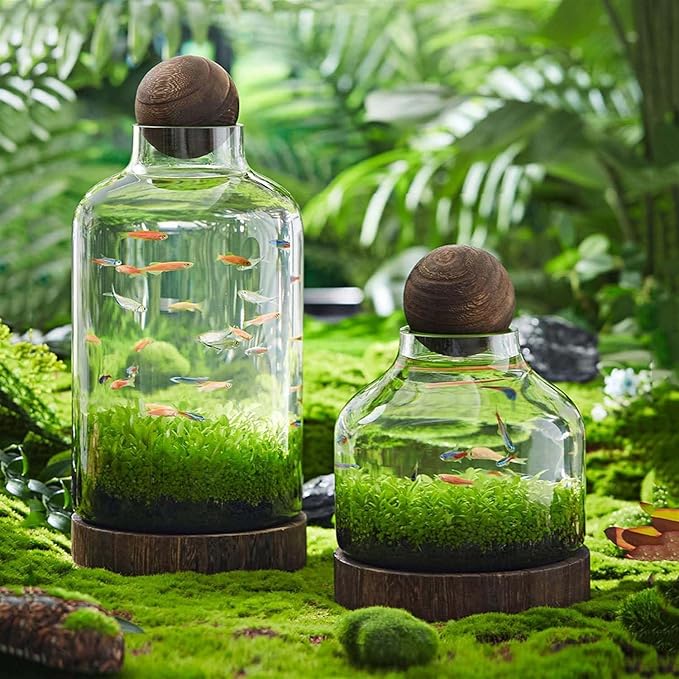 Ecological Aquarium Glass Fish Tank with Wooden Base Micro Landscape Self-circulating Hydroponic Plant Bottle Fish Bowl/Vase(L, B)