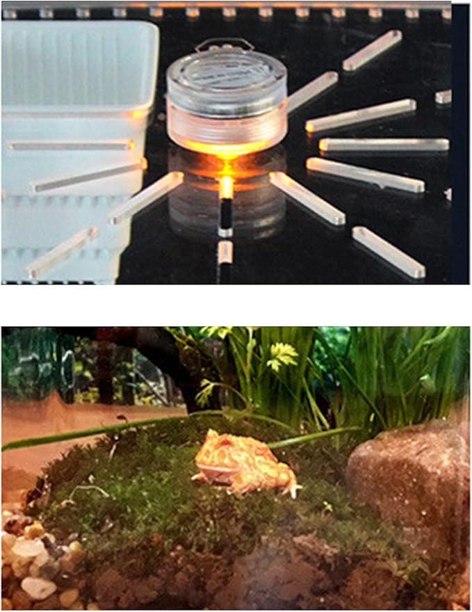 Acrylic Clear Reptile Terrarium Enclosure Cage, Reptile Breeding Box Lizard Spider Tank Climbing Pet Box with LED Light