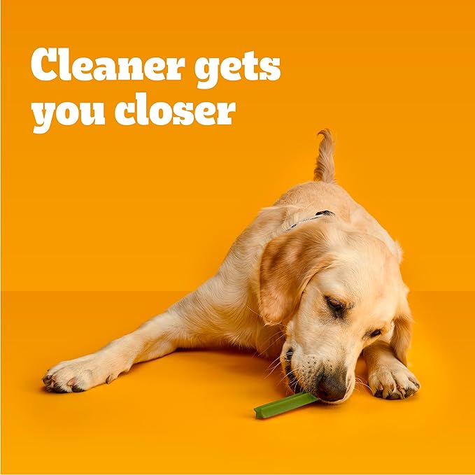 Pedigree Dentastix Dog Dental Treats, Large Breed Dog Treats, Fresh Flavor, 1.46 lb. Bag (28 Treats Total)