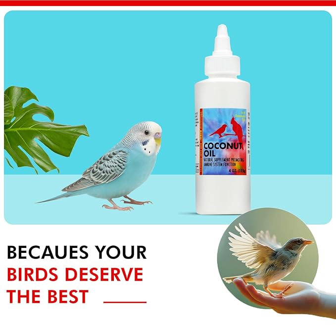 Morning Bird Coconut Oil for Birds 4 oz – Cold Pressed, Organic - Supports Immunity & Digestion – Boosts Energy & Feather Health – Easy to Mix – Safe for All Bird Life Stages