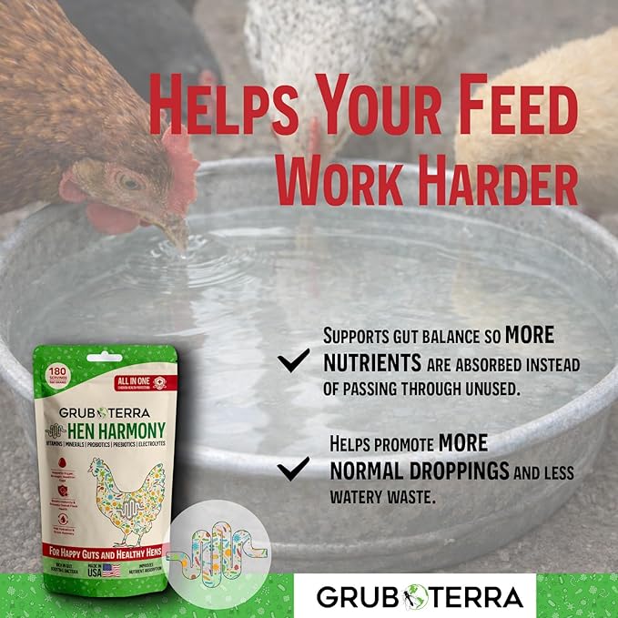 GrubTerra Hen Harmony – All-in-One Chicken Electrolytes for Water with Probiotics & Prebiotics, Daily Gut Supplement and Vitamins Supporting Hydration, Digestion, Egg Production – 180 Servings