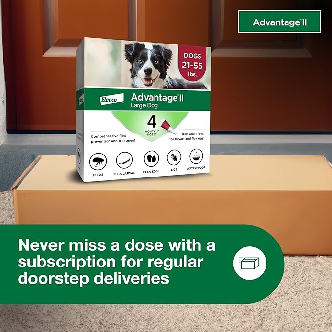 Advantage II Large Dog, 4 pack