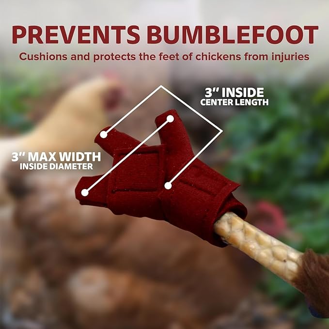 Chicken Shoes for Injured Feet – Protective Neoprene Footwear for Chicken, Open-Toe Design for Bumblefoot Relief, Made in USA (Chicken Shoes, Red, Medium Chickens)