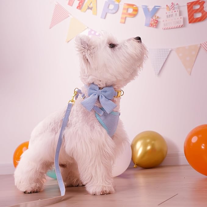 Didog Cute Small Dog Harness Collar and Leash Set with Bowtie, Breathable Soft Mesh Padded Puppy Harness, Dog Harness for Small Dogs Daily Walks Parties, Holiday Gatherings & Gifts, Blue, M