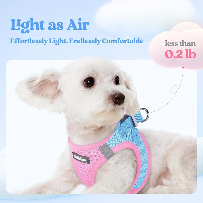 rabbitgoo Dog Harness Small Sized and Leash Set, Step in Soft Light Puppy Vest, Breathable Mesh Pet Harness, Reflective for Safe Easy Walking, Blue & Light Pink S