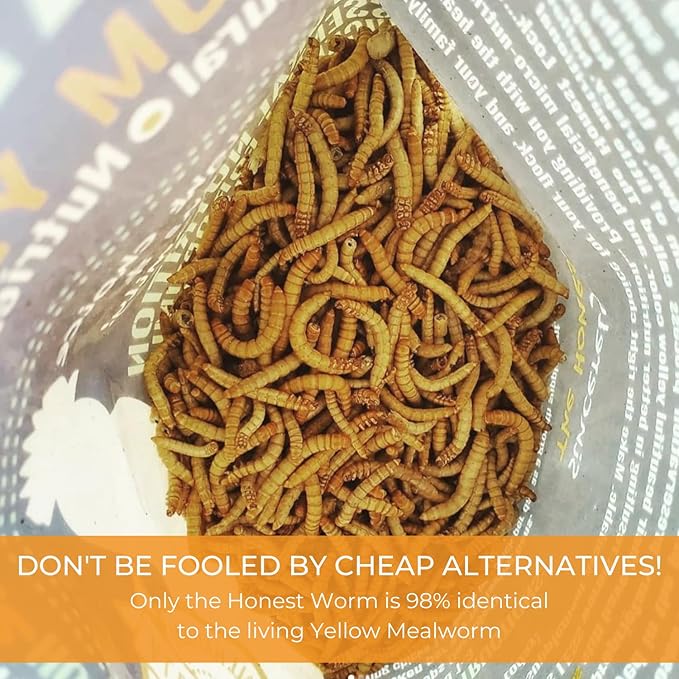 Wild Bird Magnet | Premium Freeze Dried Mealworms | Living Sight Attractant | Ethically Sourced Natural Organic Yellow Worms | High Protein Treats for Birds & Exotic Pets | (7oz)