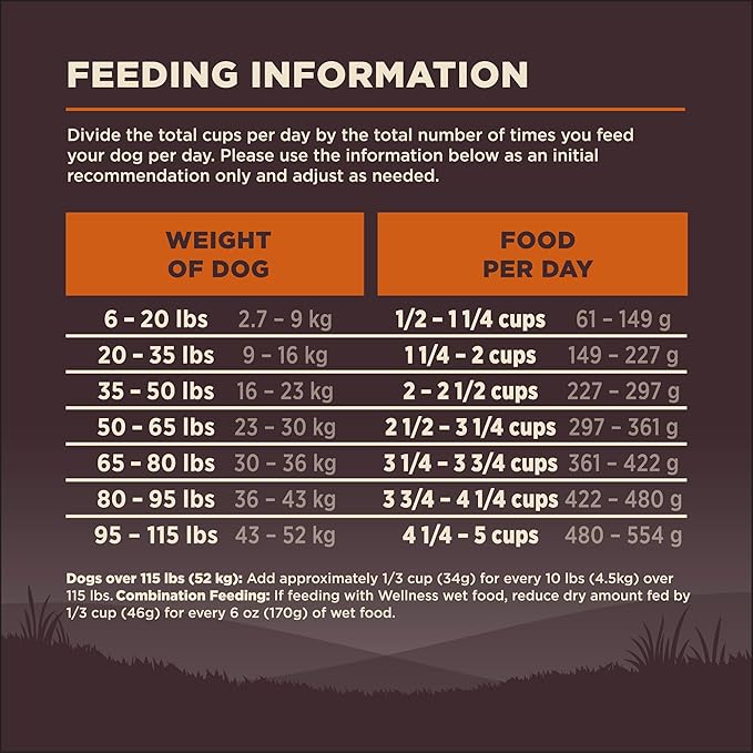 Wellness CORE Adult Dry Dog Food, Grain Free Kibble, Natural, High Protein, Turkey and Chicken Recipe, 4 lb Bag