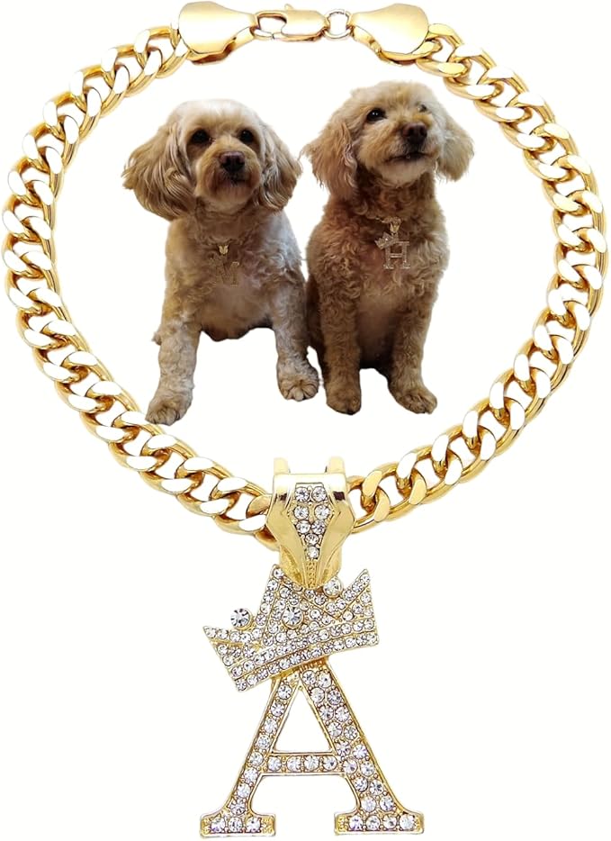 Initial Letter Cuban Chain Dog Chain Pet Chain Pet, Cat, Puppy Necklace (A, 12")