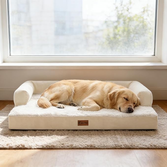 Orthopedic Dog Beds for Extra Large Dogs, Waterproof Egg Crate Foam XL Dog Bed with Sides 45x35Inch, Big Dogs Couch Beds with Removable Washable Cover and Nonskid Bottom, Beige