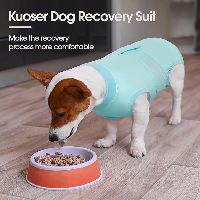 Kuoser Dog Recovery Suit for Dogs After Surgery, Soft Dog Surgical Onesie for Female Male Dogs Spay Neuter, Anti-Licking Pet Bodysuit for Abdominal Wounds, Skin Disease, E-Collar Alternative, Blue 2XL