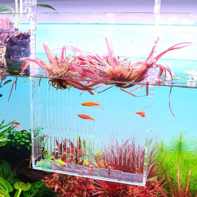 La La Pet®Adjustable Hanging Aquarium Plant Holder Acrylic Breeder Box for Fish Tank Transparent Hatching Incubator Box Isolation Box for Small Fish Large