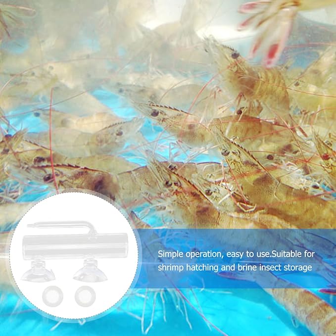 1 Set Fish Tank Incubator Glass Containers Fishing Tumbler Glass Aquarium Shrimp Breeding Box Fish Container Transparent High Borosilicate Glass Crystal Shrimp Fish Eggs