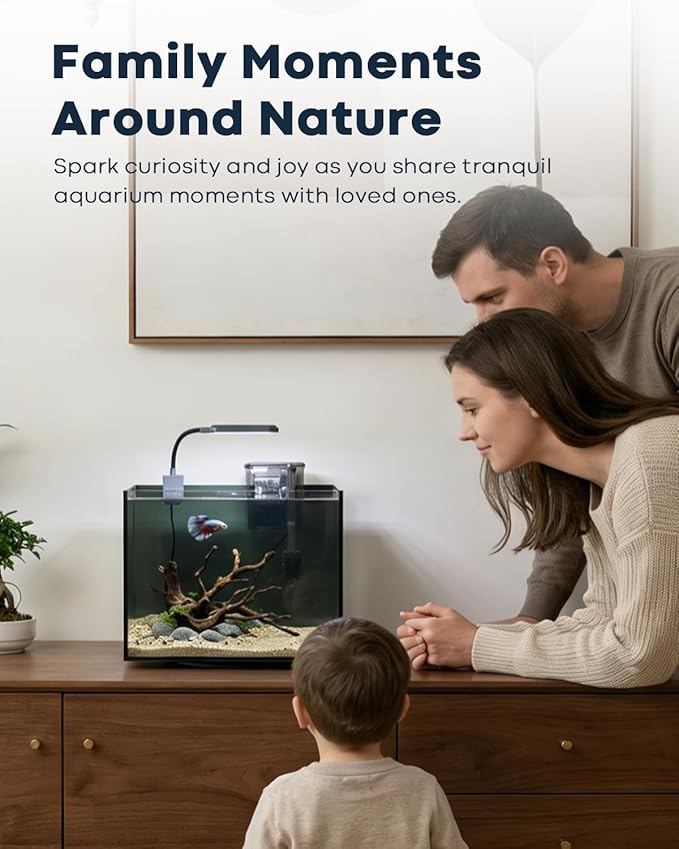 3 Gallon Small Fish Tank Glass Aquarium Set, Starter Kit with Heater Water Pump Cleaning Filter Bright Light Rocks Gravel Cleaning Tool, Leak-Proof Clear Rimless Desktop Spaces Saving Betta Fish