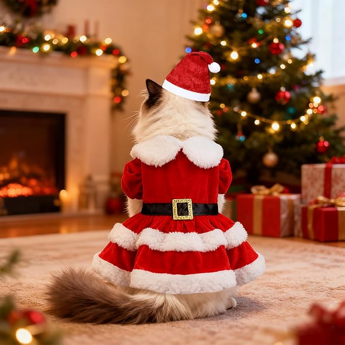 Dog Christmas Dress Santa Hat Dog Christmas Outfit Holiday Santa Costume Outfit Clothes for Small Medium Dogs (Large)