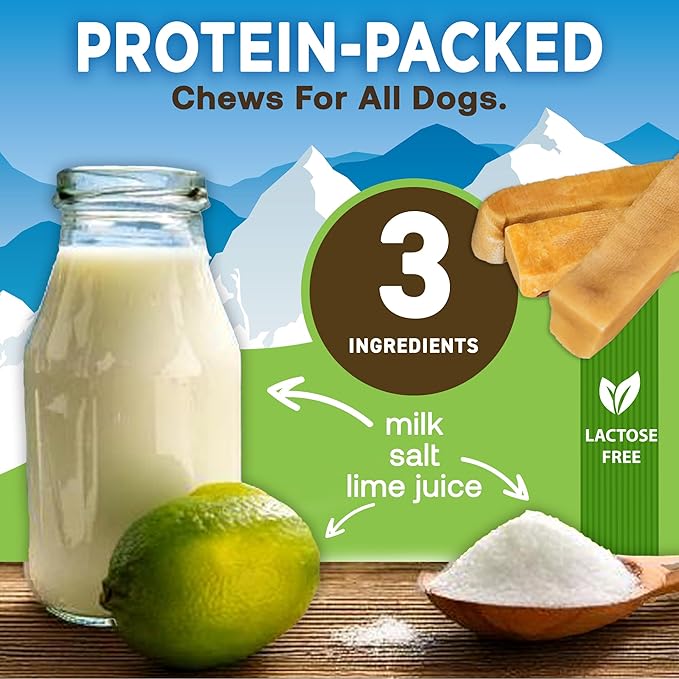 EcoKind Premium Gold Yak Cheese Himalayan Dog Chews, Dog Treats Large Breed, All Natural, High Protein, for Aggressive Chewers, Large - 3 Chews