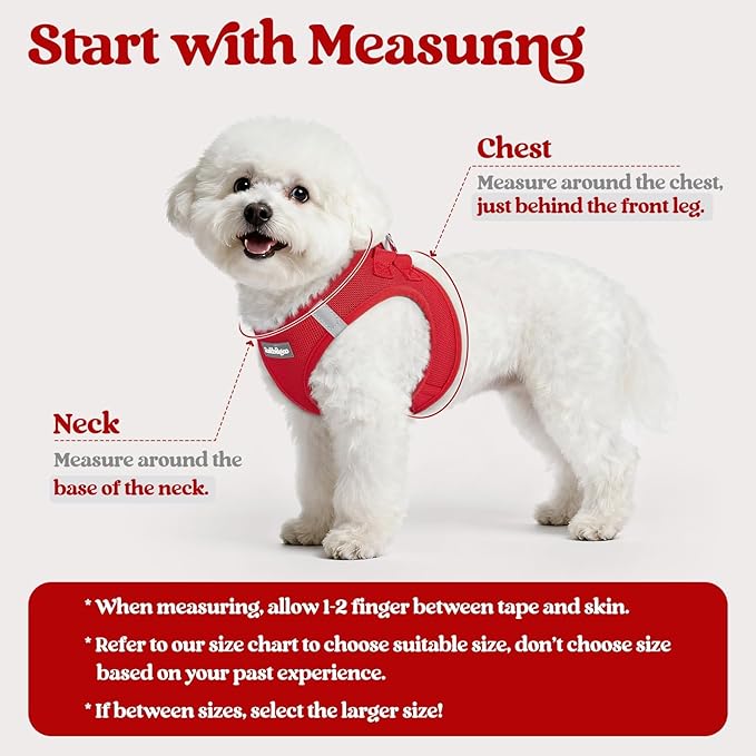 rabbitgoo Dog Harness Small Medium Sized and Leash Set, Step in Soft Light Puppy Vest, Breathable Mesh Pet Harness, Reflective for Safe Easy Walking, Red L