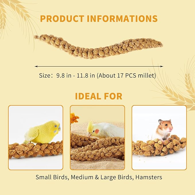 Fhiny Millet Spray for Birds, 1.1LB Natural Sun-Dried Millet for Birds Original Parakeet Food & Treats Spray for Parakeets Parrots Cockatiels Lovebirds Finches Budgies Hamsters