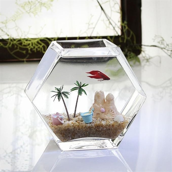 Fish Bowl Fish Tank Small Hexagonal Aquarium Tank Glass Transparent Desktop Small Fish Tank Tropical Fish Tank Ecological Tank Aquariums