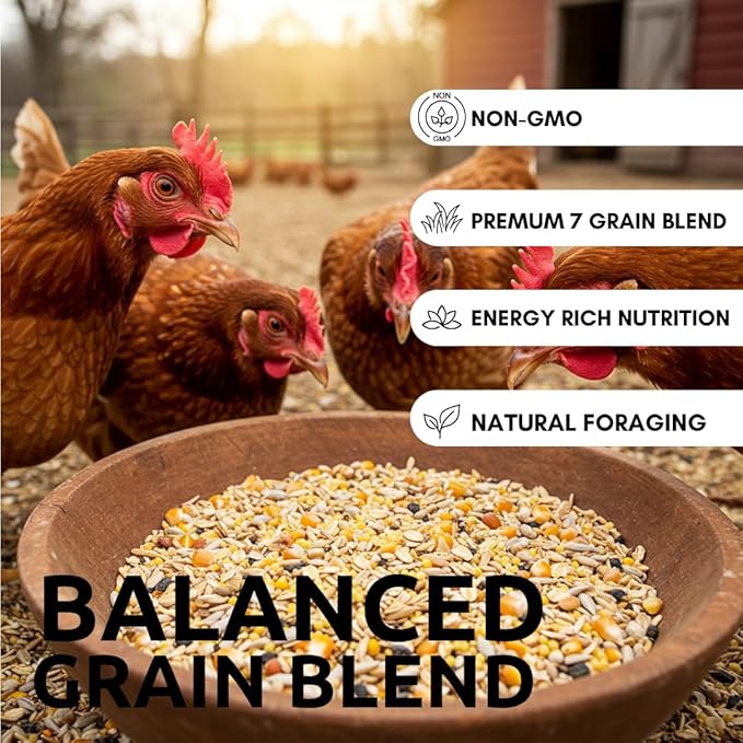 CZ Grain Premium Scratch Grains Bird Feed - Corn, Sunflowers, Wheat, Oats, Barley, Milo and Millet - Well Balanced Mix for Great Nutrition for Chickens and Ducks (8 Ounces)