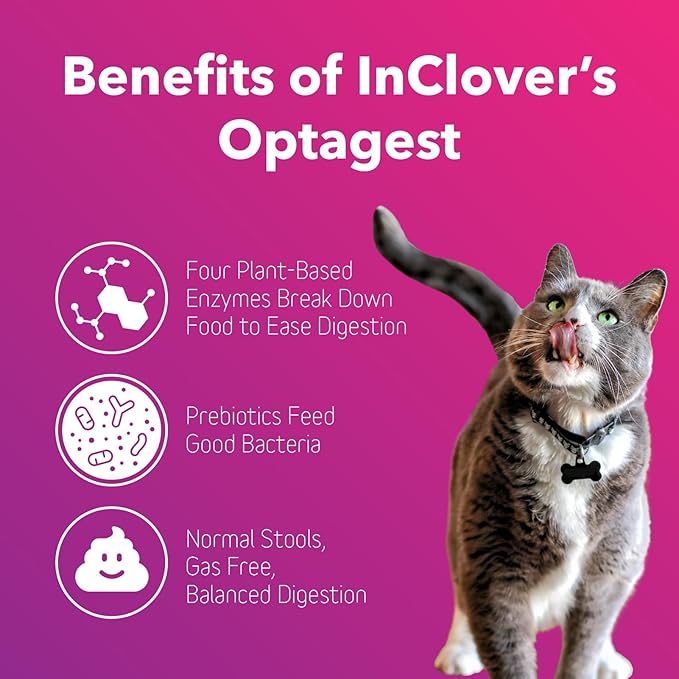 InClover Optagest Natural Digestive Aid, Organic Prebiotics & Enzymes Supplement Powder for Dogs and Cats - Promotes Healthy Stools, Less Gas, Optimal Nutrient Absorption, Intestinal Balance, 3.5oz